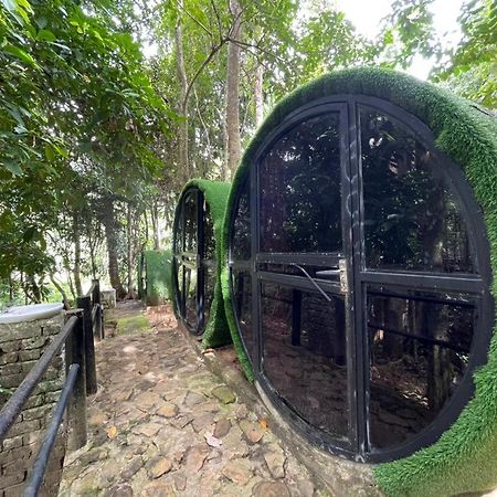 קואלה טהאן Danz Eco Resort מראה חיצוני תמונה