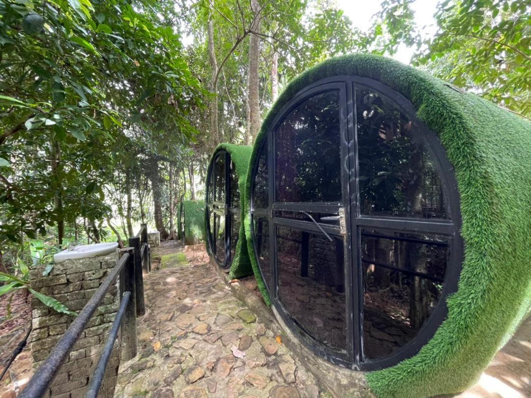 קואלה טהאן Danz Eco Resort מראה חיצוני תמונה