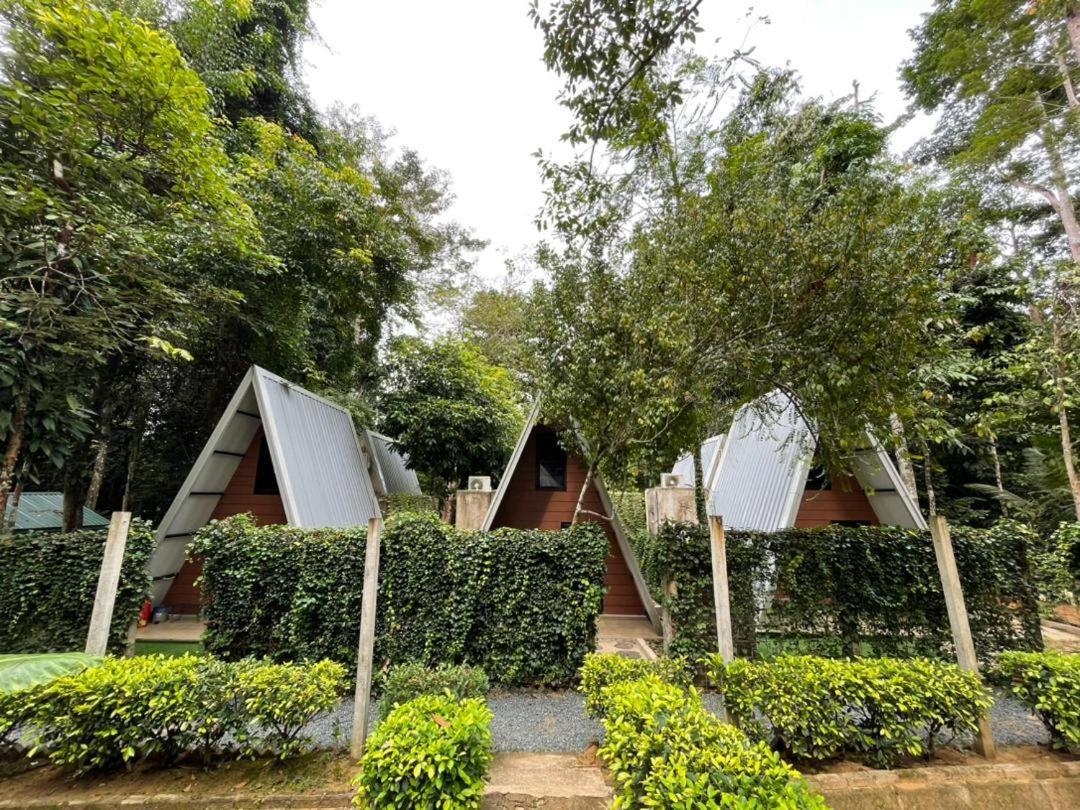 קואלה טהאן Danz Eco Resort מראה חיצוני תמונה