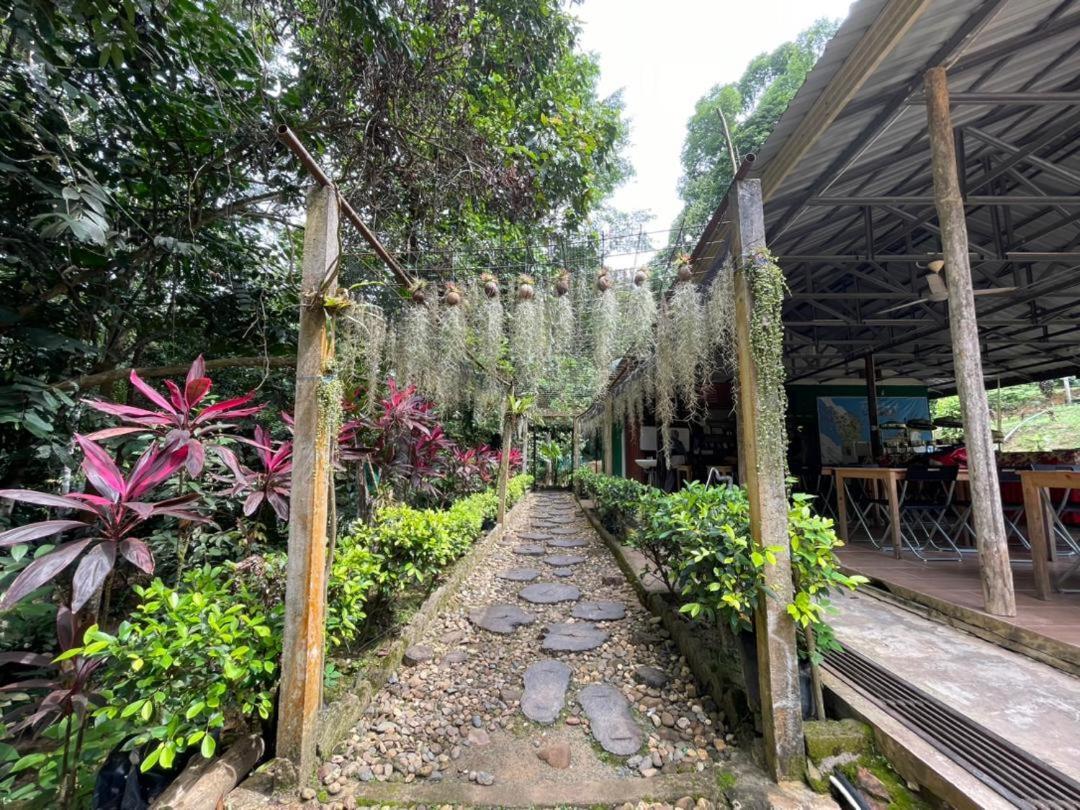 קואלה טהאן Danz Eco Resort מראה חיצוני תמונה